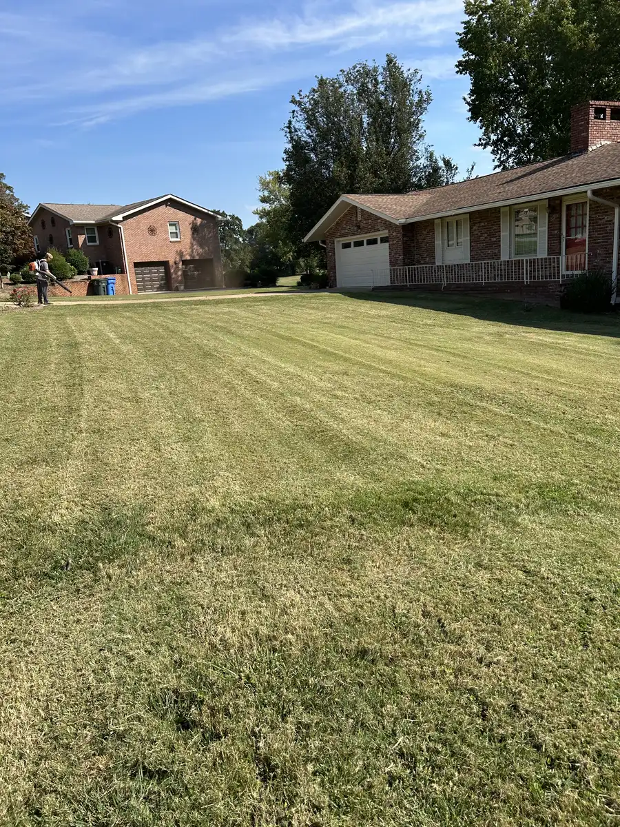 Healthy, freshly maintained lawn after aeration and seasonal treatment