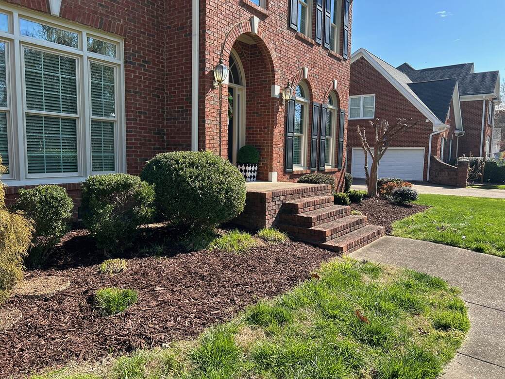Brick home with shaped boxwoods and fresh dark mulch beds