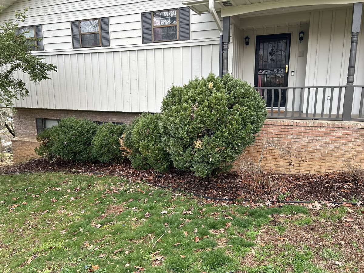 Overgrown, tired front beds before JM Landscaping rebuilt them