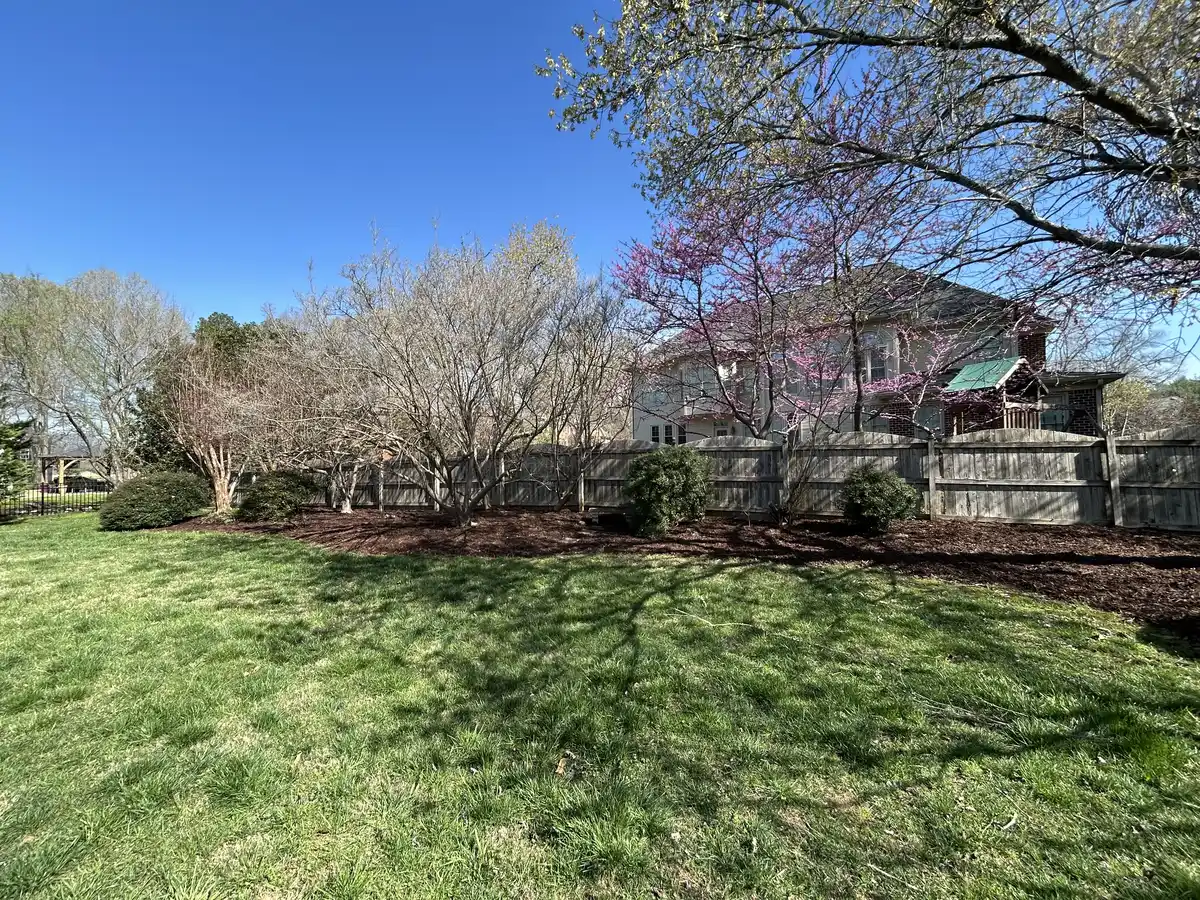 Manicured backyard lawn and mulch beds with a blooming redbud